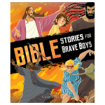 bible stories for brave boys